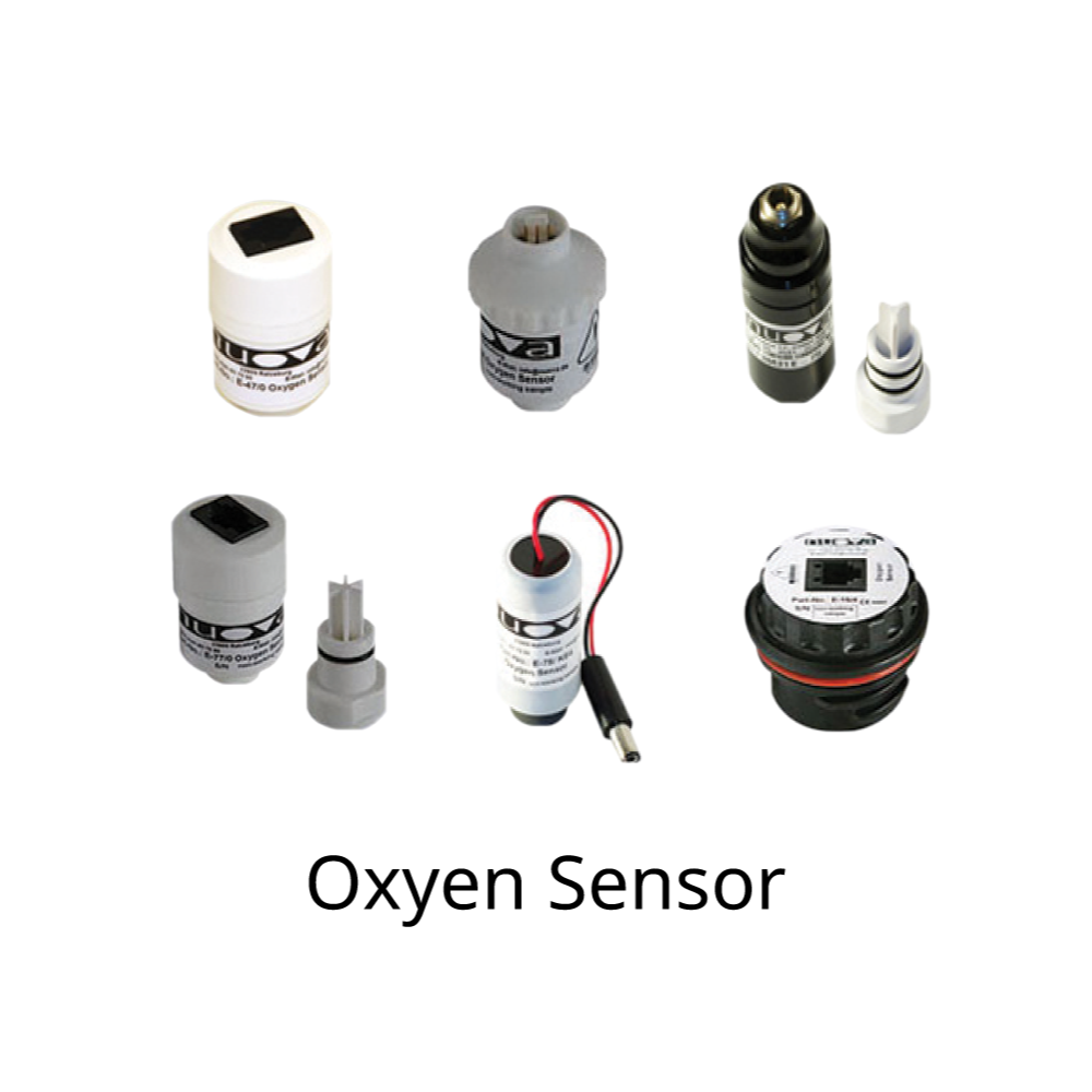Oxyen Sensor new